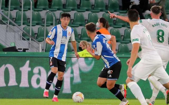 在线日韩日本国产亚洲